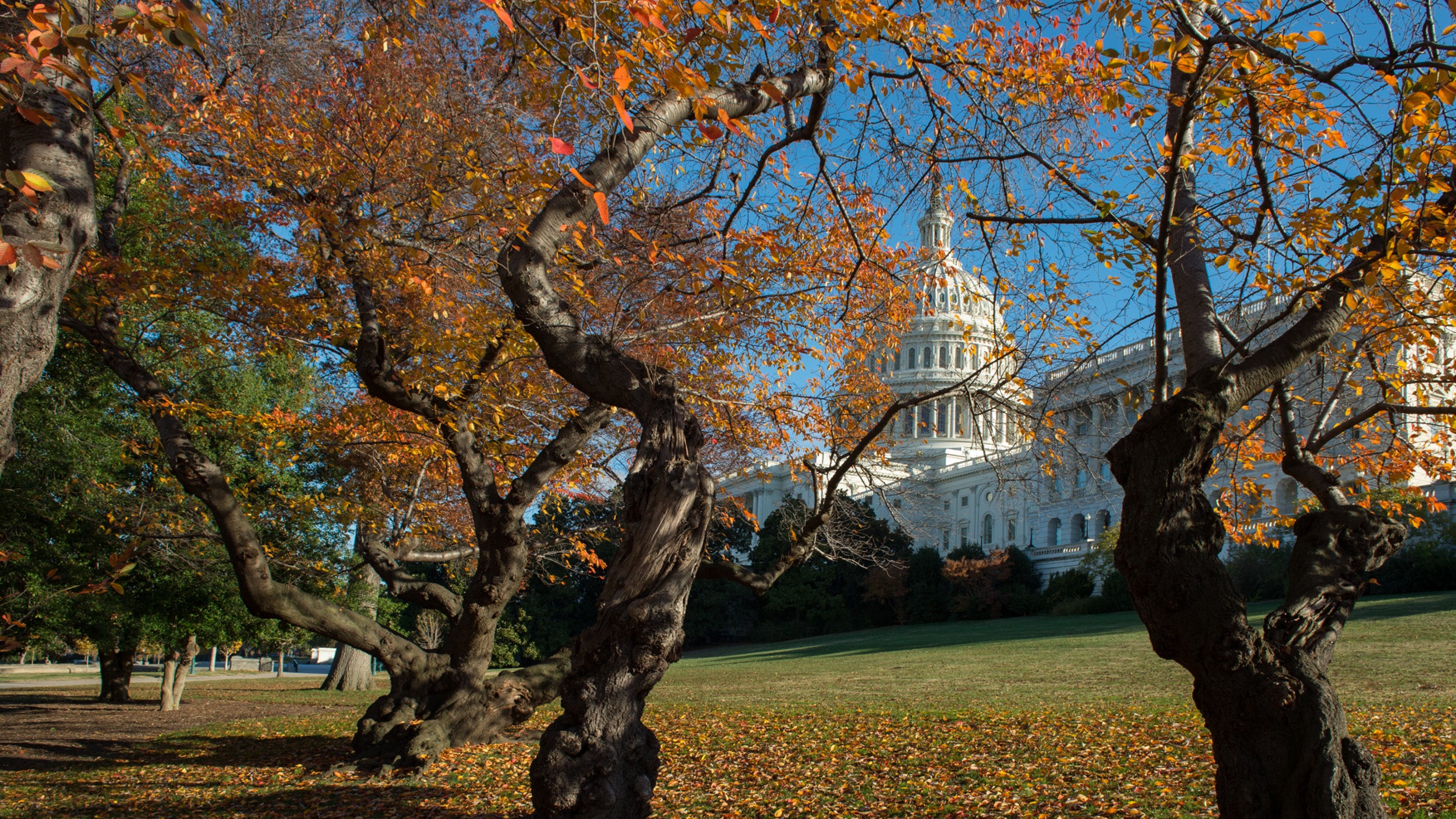 U.S. Capitol in the fall.
