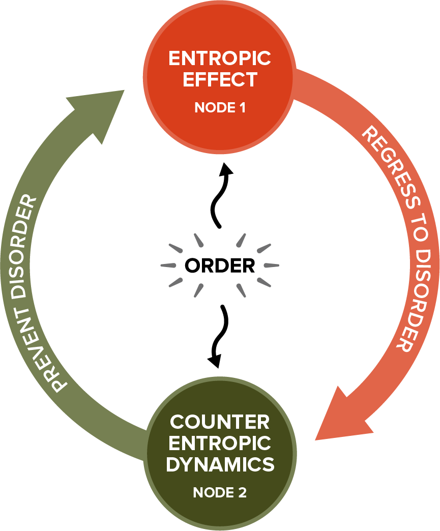 Figure 3: Entropy-Counterentropy Cycle