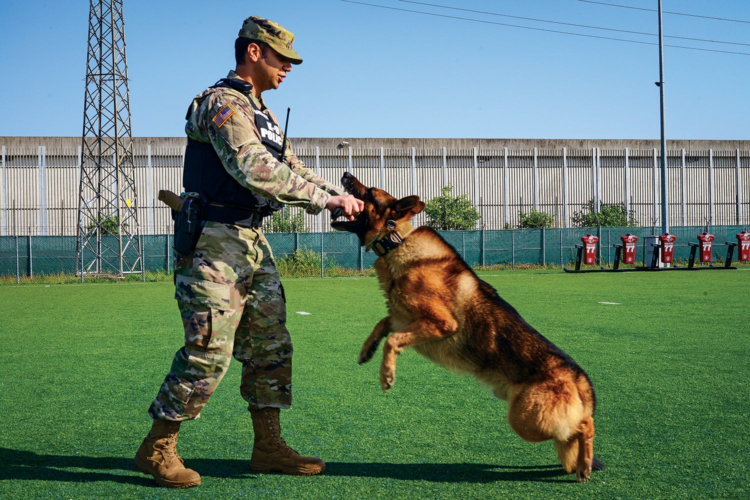 Sgt. Patrick Harrington of the 18th Military Police Detachment puts his military working dog, Aran, through obedience drills in Vicenza, Italy. (Credit: U.S. Army/Dario Cortese)